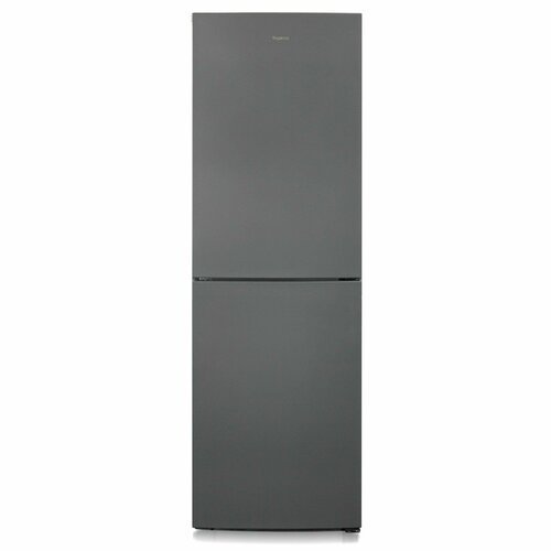 Холодильник БИРЮСА-W6031