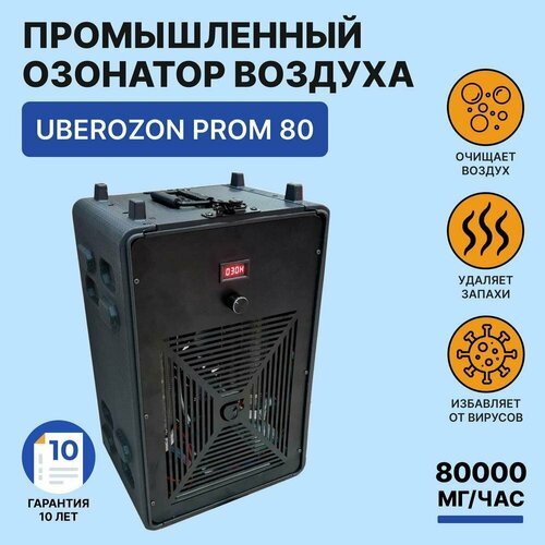 Промышленный озонатор воздуха 80 г/час UberOzonProm - 80